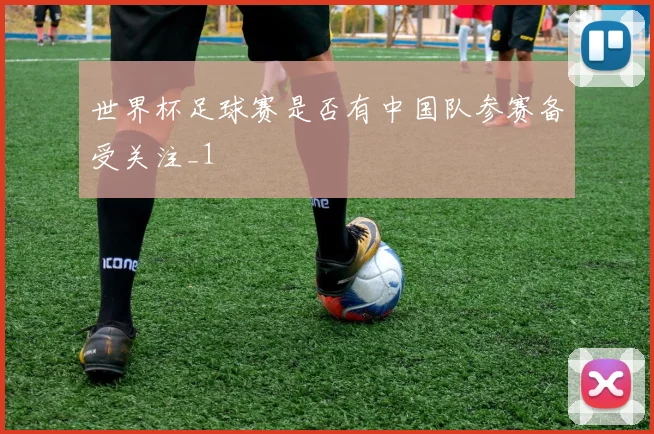 世界杯足球赛是否有中国队参赛备受关注_1