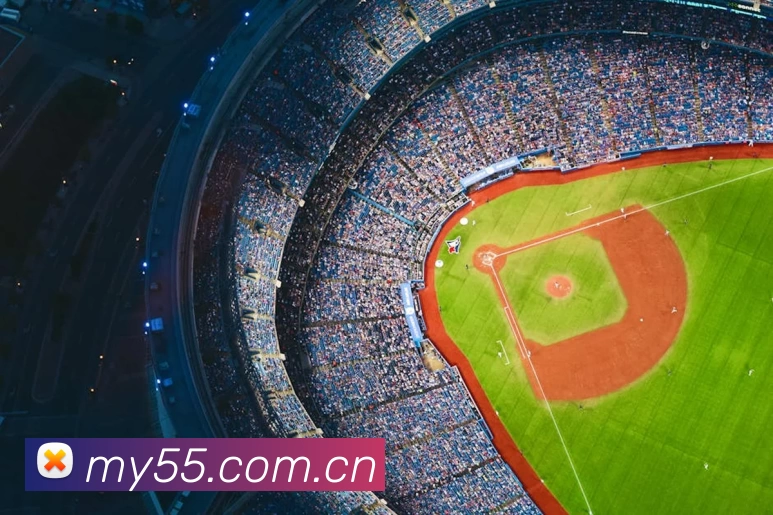 压球首页平台生态图